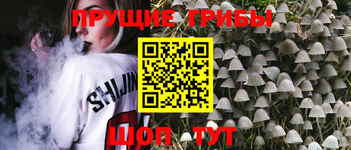 что такое   Псилоцибиновые грибы мухоморы  Вход с VPN  Псилоцибиновые грибы Magic Shrooms  Карачаевск 