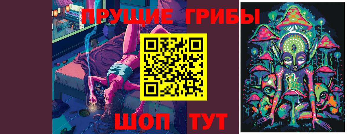 Галлюциногенные грибы ЛСД Карачаевск